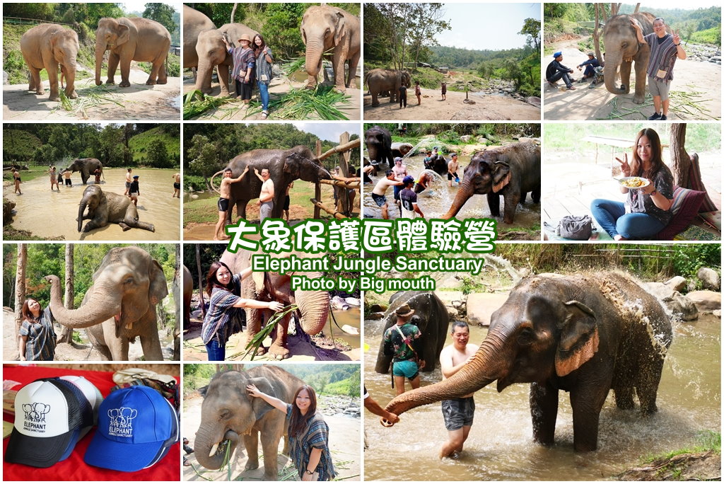 大象保護區體驗營