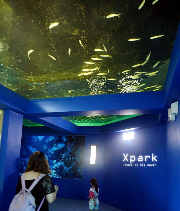 Xpark水族館