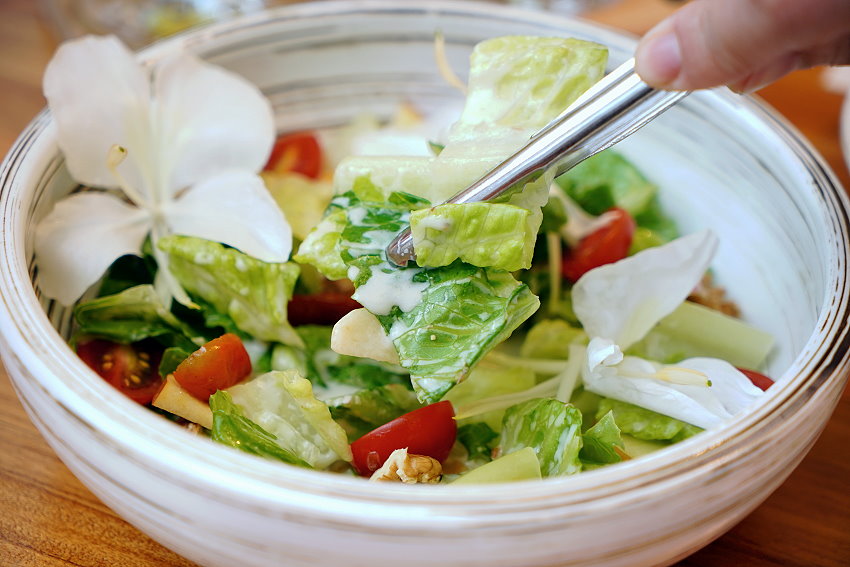 桃園龍潭 野薑花與貓庭園咖啡 野薑花入菜 近距離與貓咪互動